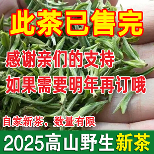预售2025年头茶明前新茶绿茶野生茶安徽宣城溪口高山茶叶毛尖清香