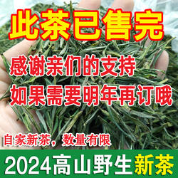 2024新茶野生茶安徽绿茶毛尖春茶宣城溪口高山茶叶清香甘甜250g