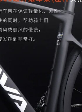速发SAVA萨瓦A7L碳纤维公路车R7100变速油碟刹24速竞赛级自行车