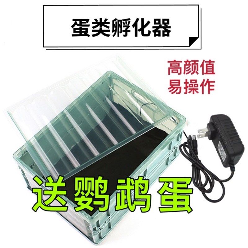 速发孵蛋器孵化机孵化器小型家用型全自动智化小鸡的机器鹦鹉可孵,机械设备,孵化器/孵化设备,淘宝优惠券,粉丝福利购,淘宝优惠卷