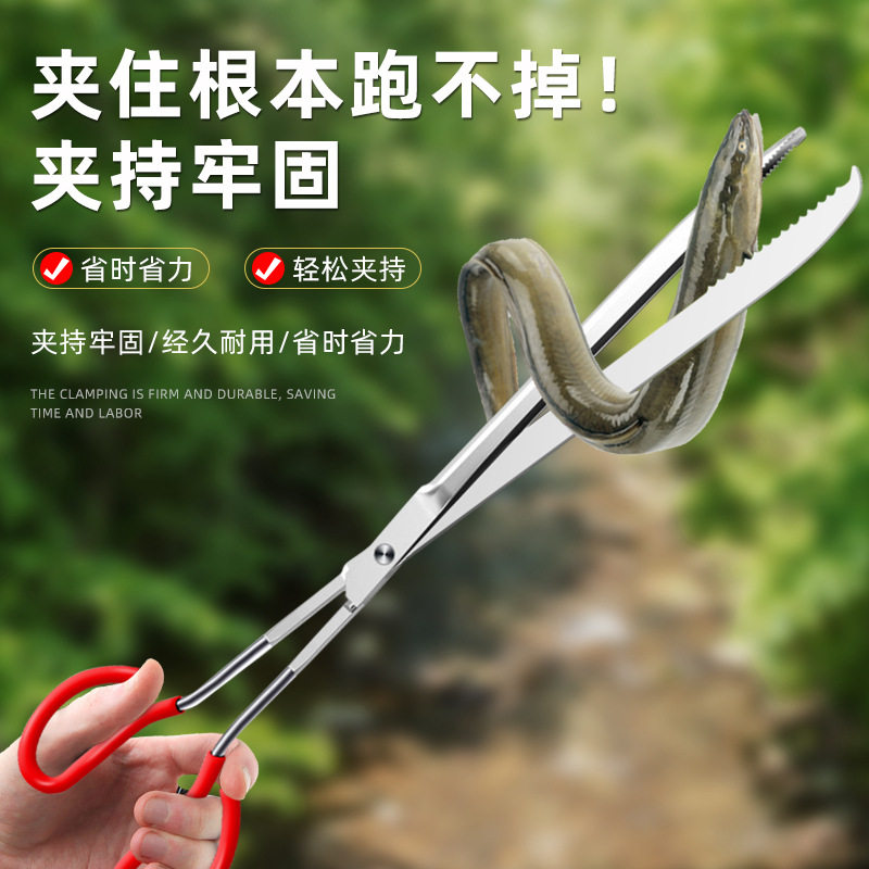 速发不锈钢夹黄鳝夹鳝钳子抓泥鳅蟹鱼控鱼专用工具赶海抓螃子龙虾