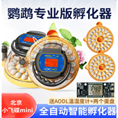 黄姐家小飞碟mini智能孵化器小型家用养殖场专用多蛋位鹦鹉孵化机