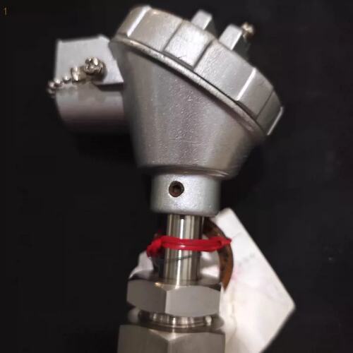PTR-SD 600C Pt100 温度感测器（请）
