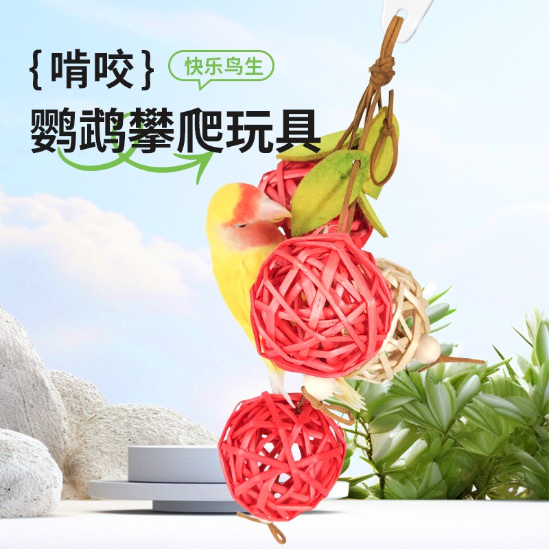 速发鹦鹉藤球咬串啃咬玩具磨嘴解闷牡丹玄凤虎皮鸟用具用品大全