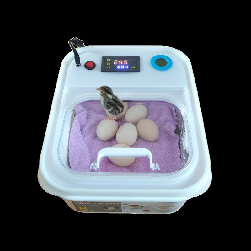 速发孵小鸡的机器家孵鹑丁鸡珍珠鸟鹌芦鹦鹉鸽子小型用蛋器儿童孵