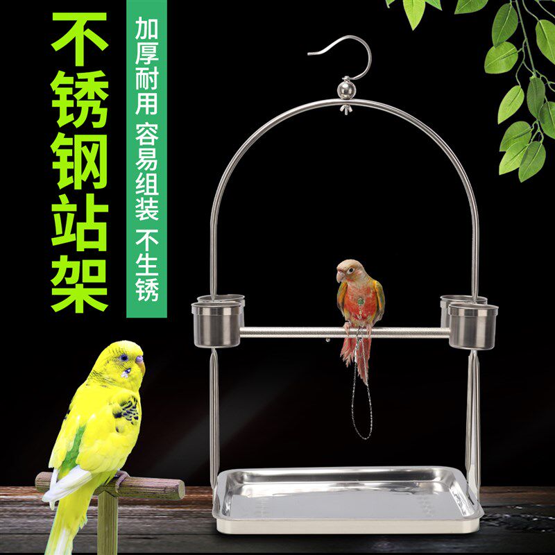 速发鹦鹉站架不锈钢大型虎皮玄凤绣眼伯劳中小型训练落地鸟架子用