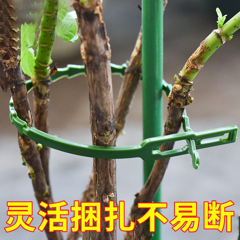 速发种花种使就用这个就定牵引扣!一拉固行!重复菜用!真的太方