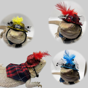 松狮蜥蜴帽子守宫小鳄鱼披风衣服万圣节圣诞节套装爬宠外出变身装