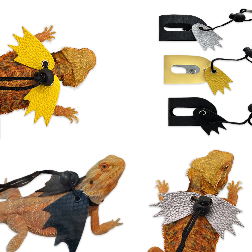 鬃狮蜥蜴牵引绳子爬宠外出皮革翅膀胸背带变色龙守宫牵引户外用品