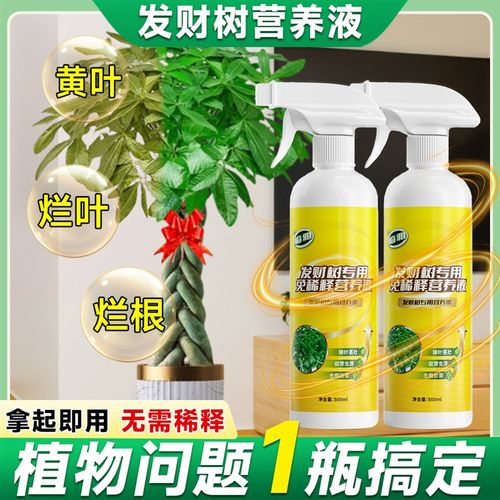 速发免稀释用财树专发营养液花肥料盆物植栽家用金钱树花卉绿植烂