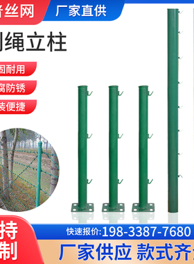 速发刺铁绳柱网立丝网立柱刺铁丝牛栏网专用铸铁杆子三角钢实心柱