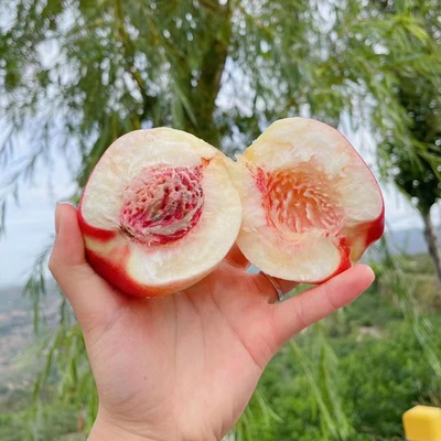 【秦安蜜桃】刘坪水蜜桃新鲜水果果园现摘现发应季毛桃整箱送孕妇