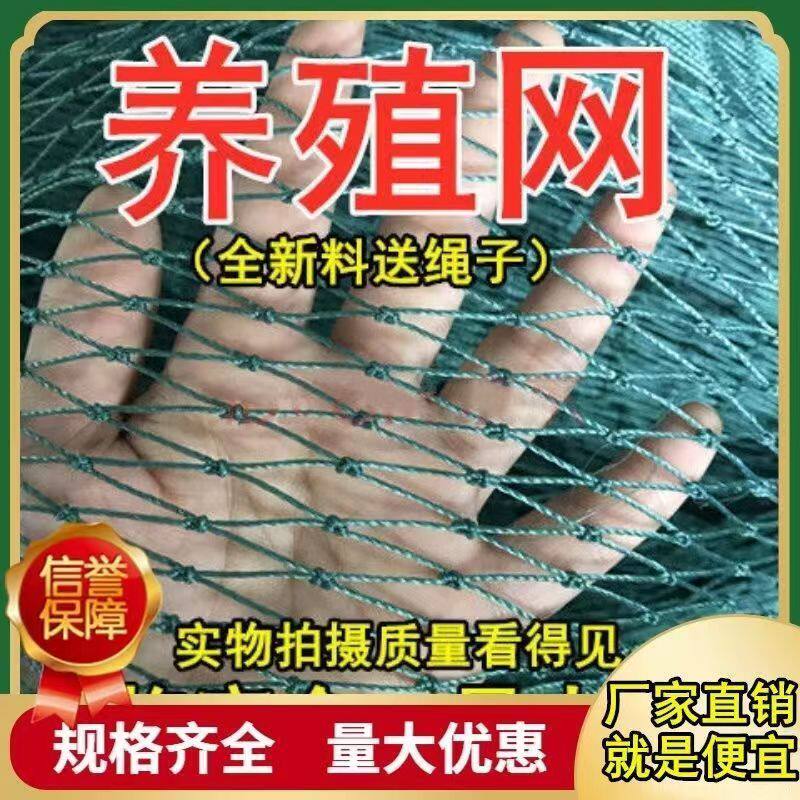 家禽养鸡网顶网天网菜园网围网栏鸡网山鸡防鸡网栏鸡鸭网,农机/农具/农膜,农用防鸟网,淘宝优惠券,粉丝福利购,淘宝优惠卷