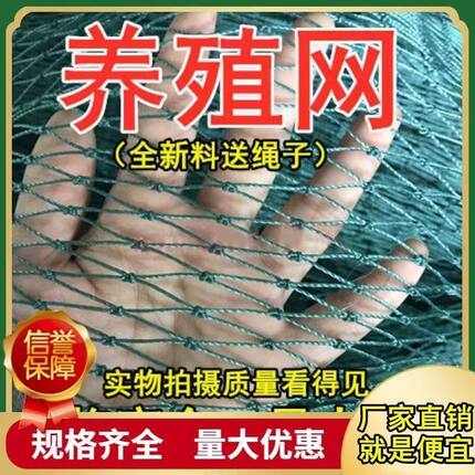 家禽养鸡网顶网天网菜园网围网栏鸡网山鸡防鸡网栏鸡鸭网