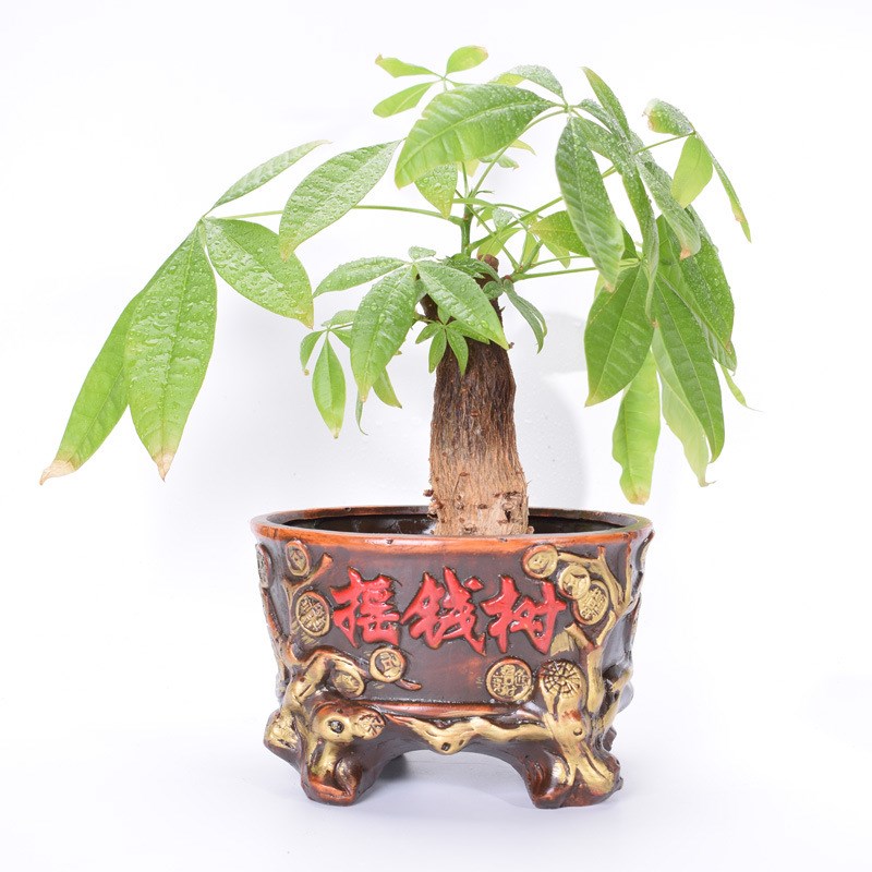 速发红陶多肉花盆  065特色花盆红陶大号 创意招财家居摆饰