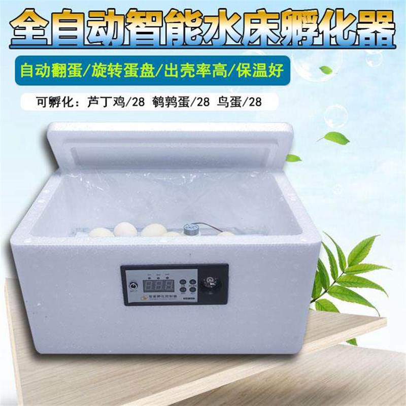 速发孵化器家用自动水床孵化机智能鸡蛋孵蛋器小鸡泡沫芦丁恒温孵