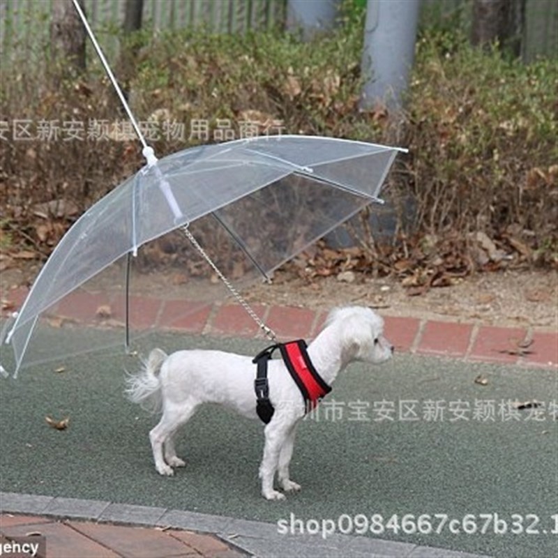 速发品狗透明雨伞用遛泰迪贵宾小型牵犬引雨伞一件