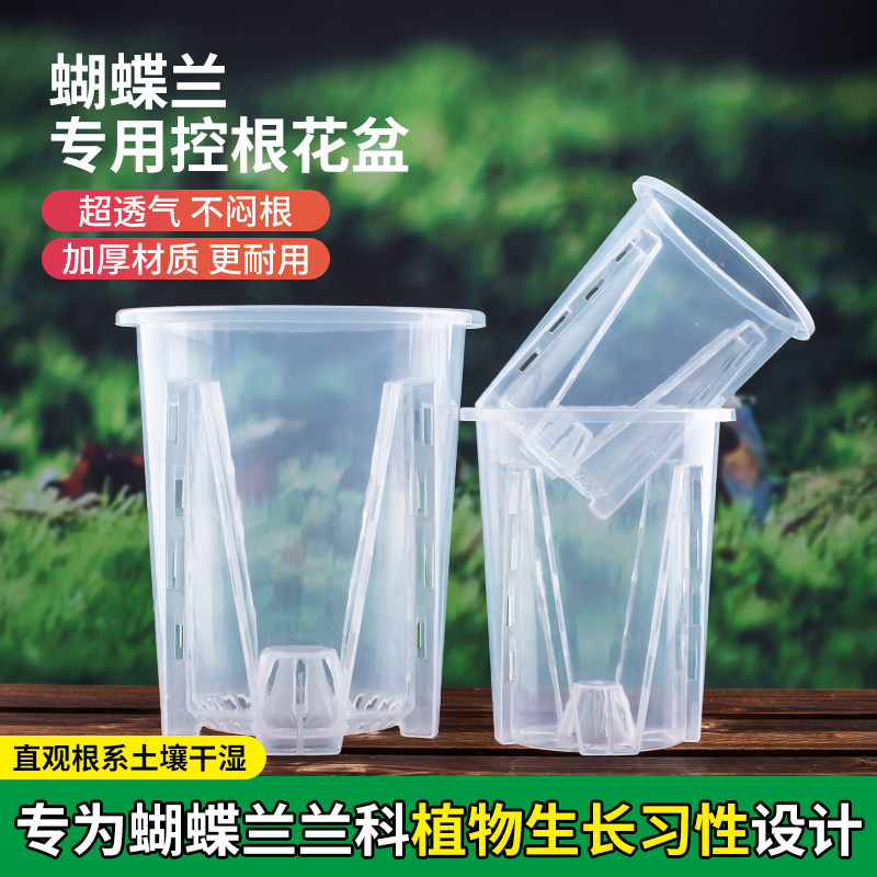 速发透明青花控号盆兰花水苔蝴蝶兰专用山盆塑料透气镂空大根花盆