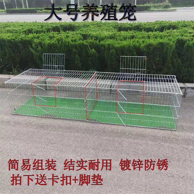 速发丝密鸽子养殖笼兔笼鸡笼子家用鹌鹑笼镀锌铁加笼大输笼运号笼