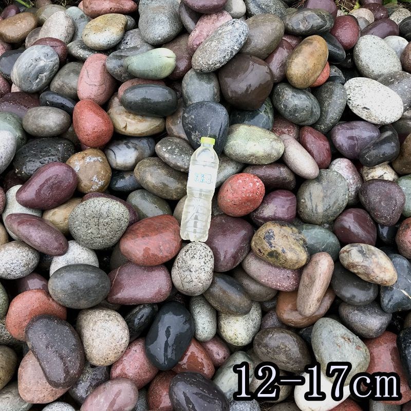 速发鹅卵石石头铺路石石园艺石景石鱼缸雨花子鹅暖布铺地斤包邮