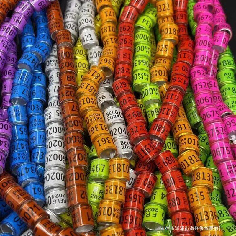 速发2025年七彩外籍环鸽子用别识信鸽环品用具鸽子环记号鸽具鸽子