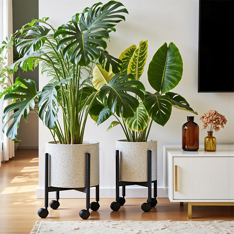 铁艺十字花架子客厅电视柜旁靠墙落地式花盆托架室内墙角植物架子