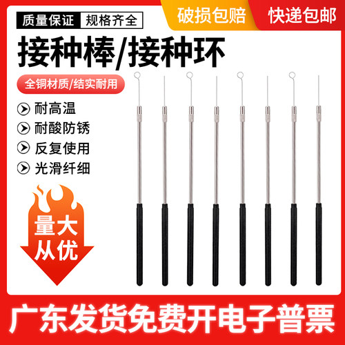 接种棒接种丝接种环采样棒