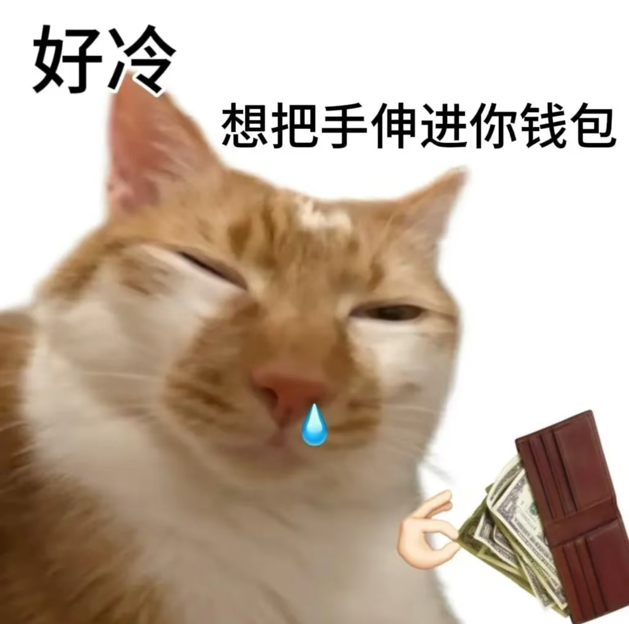 清仓了 不干了 9.9任选三件 满三件包邮