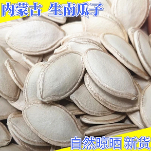 内蒙古生南瓜子25年新货500g独立小包装带壳南瓜籽原味纸皮南瓜子