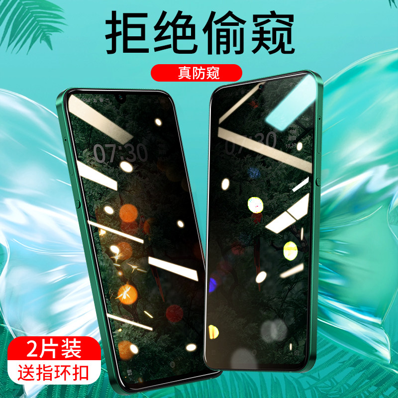 坚果pro3锤子科技屏幕保护贴膜