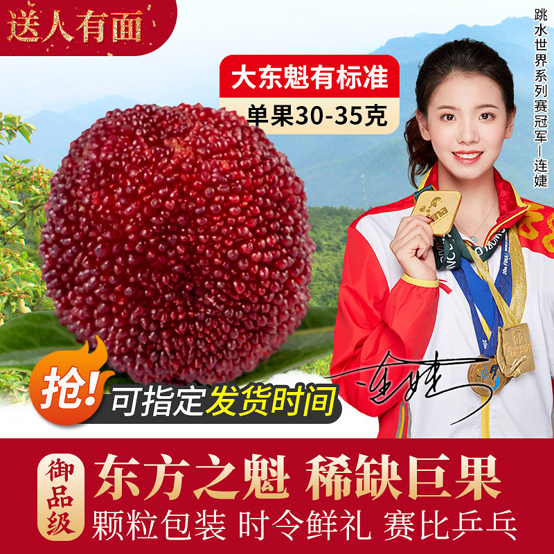 轩农谷仙居东魁大杨梅现摘现发鲜果台州高山当季新鲜端午水果礼盒