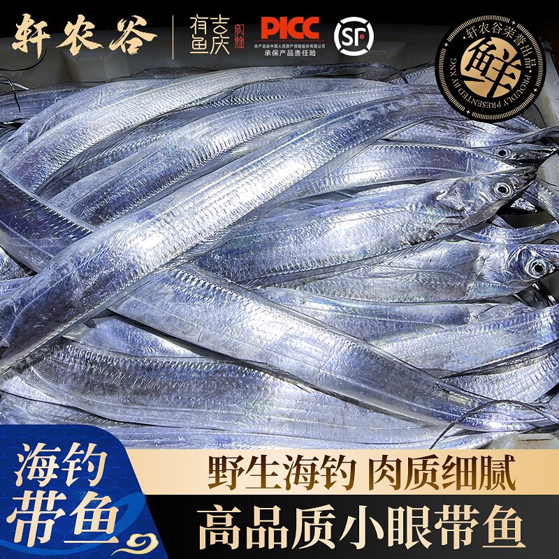 渔船直供高品质海钓带鱼新鲜