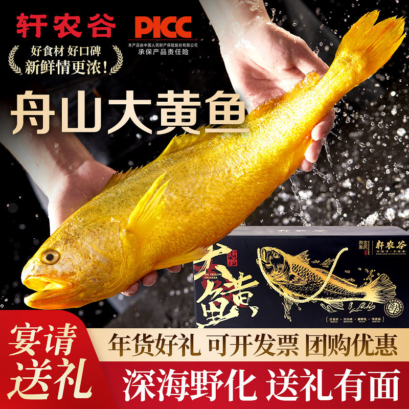 舟山大黄鱼新鲜冷冻深海鲜活黄花鱼生鲜海鲜水产年货礼盒送礼海鱼