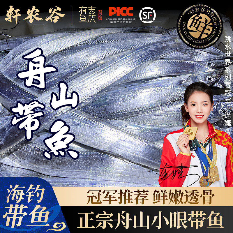 正宗舟山小眼带鱼新鲜野生海钓