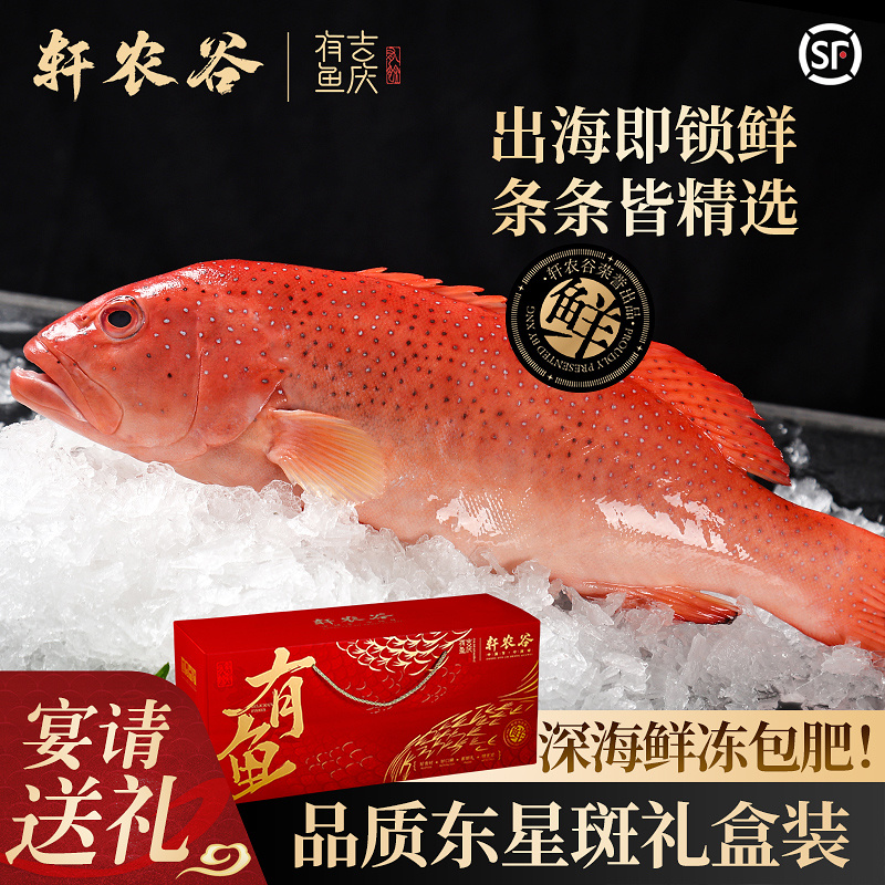 深海东星斑礼盒商务礼赠伴手礼