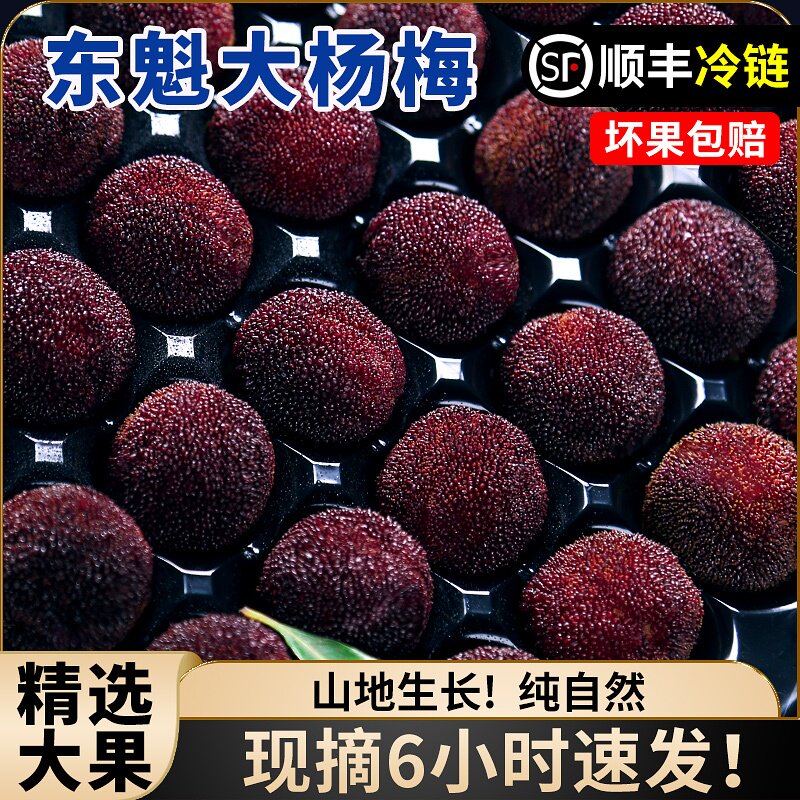 正宗东魁杨梅特大鲜果新鲜仙居杨梅颗粒装当季水果现摘现发礼盒装