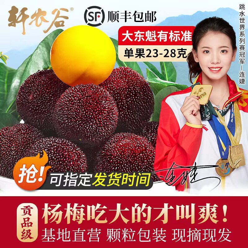 正宗仙居杨梅新鲜特大东魁鲜果高山现摘现发端午水果礼盒浙江台州