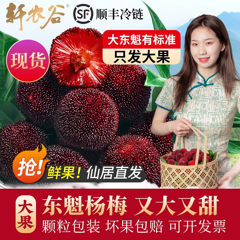 仙居东魁杨梅新鲜水果当季整箱杨梅鲜果现摘现发大果浙江台州扬梅