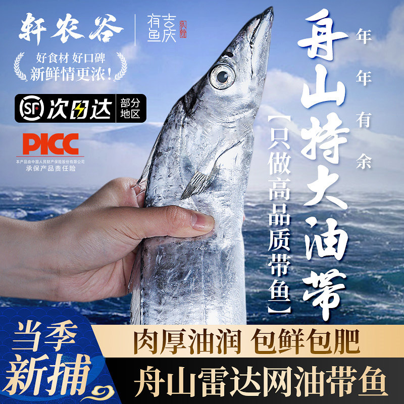 舟山油带鱼雷达网小眼带鱼鲜活新鲜冷冻春节海鲜礼盒年货特大刀鱼