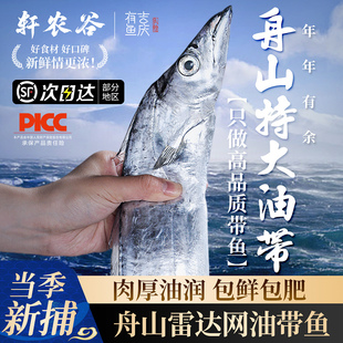 舟山油带鱼雷达网小眼带鱼鲜活新鲜冷冻春节海鲜礼盒年货特大刀鱼