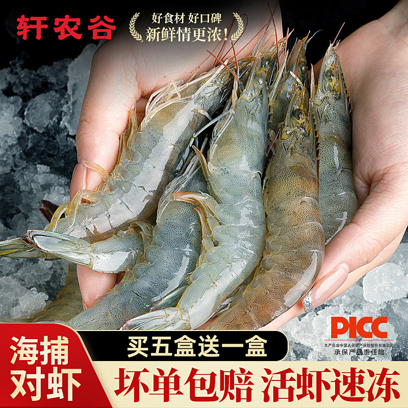 海捕大虾基围虾鲜活速冻顺丰包邮
