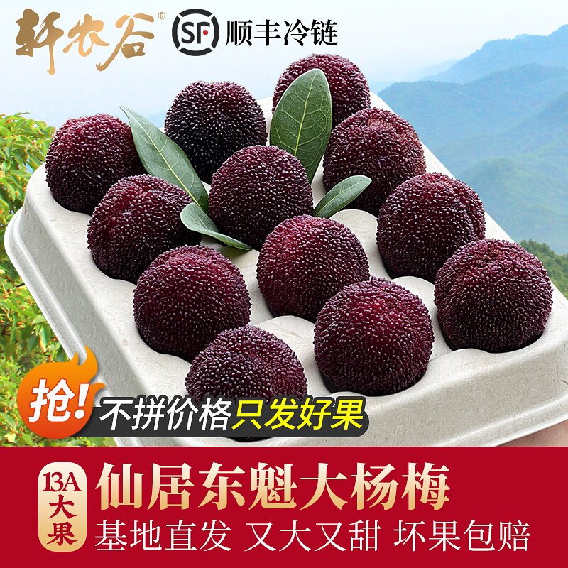 仙居杨梅鲜果新鲜东魁应季浙江水果扬梅现摘现发特大鲜杨梅礼盒