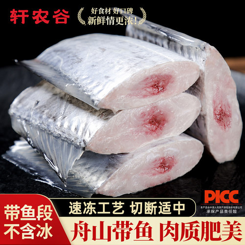 舟山带鱼去头去尾纯中段