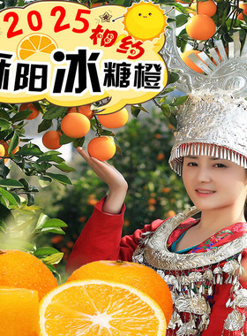 湖南麻阳冰糖橙正宗新鲜水果包邮薄皮榨汁当季果冻5现摘9斤甜橙子