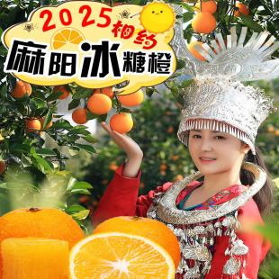 果冻5现摘9斤甜橙子 薄皮榨汁当季 湖南麻阳冰糖橙正宗新鲜水果 包邮