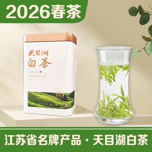 2026新茶天目湖溧阳明前白茶100g