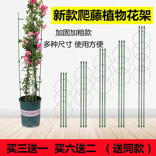 爬藤花架子花支架月季室内花卉植物支撑杆绿萝铁线莲蟹爪兰攀爬架