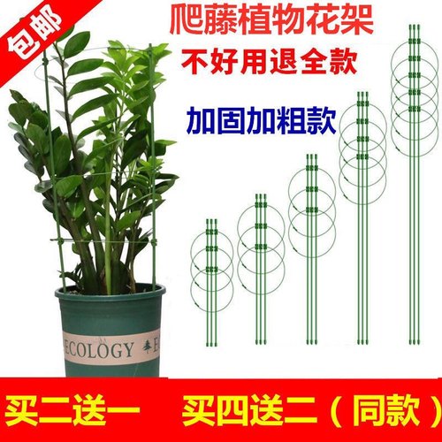 爬藤花架圆柱园艺支架阳台绿萝月季藤本植物攀爬铁艺支柱撑蟹爪兰 - 封面