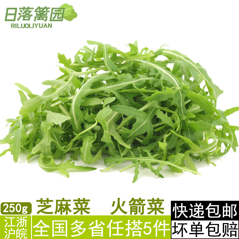 芝麻菜250g德国芥菜火箭菜新叶菜类