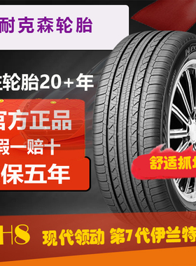耐克森轮胎205/55R16  AH8原配现代领动 悦动 逸行起亚K3 福克斯